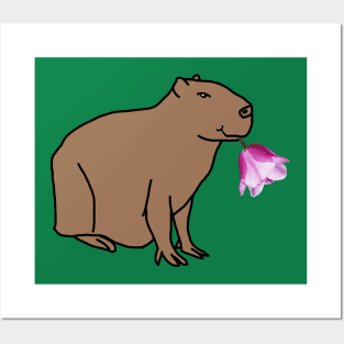 Flower Capybara Posters and Art